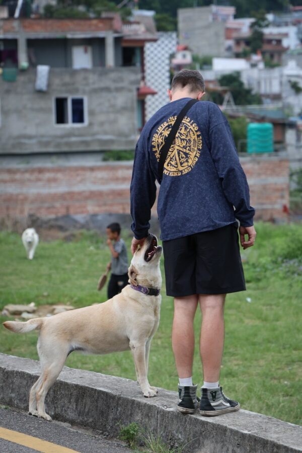 longsleeve into the wild Longsleeve oversize Into The Wild - granatowy marmur